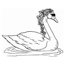 Coloriage Cygne paré d'une guirlande de fleurs sur le lac