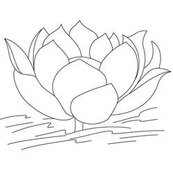 Coloriage Lotus #182318 à imprimer et colorier