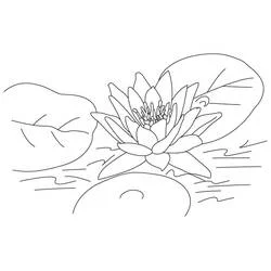 Coloriage Lotus #182323 à imprimer et colorier