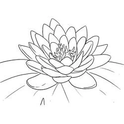 Coloriage Lotus #182324 à imprimer et colorier