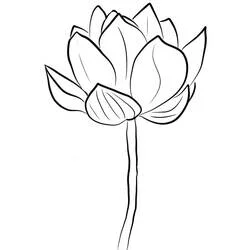 Coloriage Lotus #182325 à imprimer et colorier