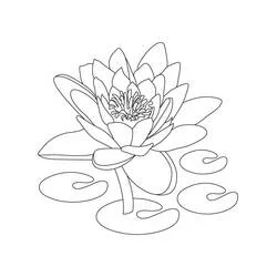 Coloriage Lotus #182326 à imprimer et colorier