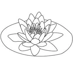 Coloriage Lotus #182328 à imprimer et colorier