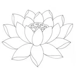 Coloriage Lotus #182330 à imprimer et colorier