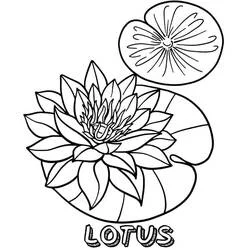 Coloriage Lotus #182337 à imprimer et colorier