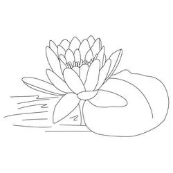 Coloriage Lotus #182339 à imprimer et colorier