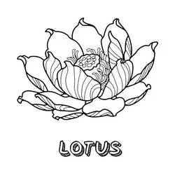 Coloriage Lotus #182342 à imprimer et colorier