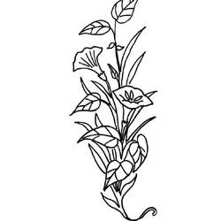 Coloriage Fleurs en forme de lys sur une tige courbée
