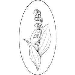 Coloriage Muguet en fleur