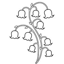 Coloriage Muguet en branche avec ses clochettes