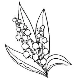 Coloriage Muguet avec deux tiges fleuries