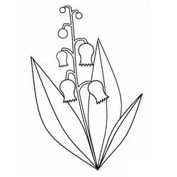 Coloriage Muguet aux petites clochettes retombantes