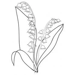 Coloriage Muguet aux deux tiges fleuries