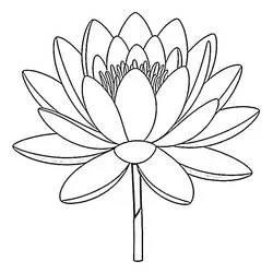 Coloriage Nénuphar #221864 à imprimer et colorier