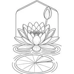 Coloriage Nénuphar #221866 à imprimer et colorier