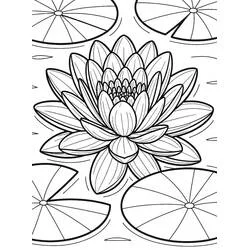 Coloriage Nénuphar #221867 à imprimer et colorier