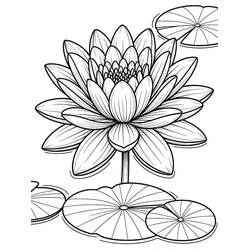 Coloriage Nénuphar #221868 à imprimer et colorier