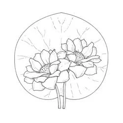 Coloriage Nénuphar #221875 à imprimer et colorier