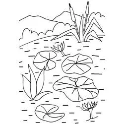 Coloriage Nénuphar #221880 à imprimer et colorier