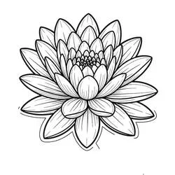 Coloriage Nénuphar #221882 à imprimer et colorier