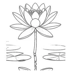 Coloriage Nénuphar #221883 à imprimer et colorier