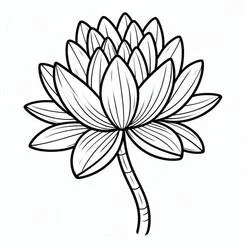 Coloriage Nénuphar #221886 à imprimer et colorier