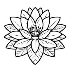 Coloriage Nénuphar #221889 à imprimer et colorier