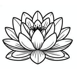 Coloriage Nénuphar #221890 à imprimer et colorier