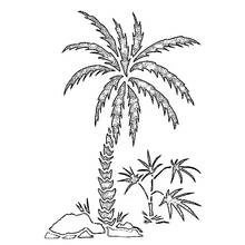 Coloriage Palmier sur une plage rocheuse