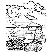 Coloriage Paysage avec papillon près de fleurs et nuages