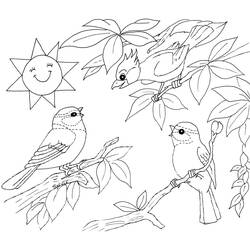 Coloriage Oiseaux perchés sur des branches sous un soleil souriant