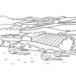 Coloriage Paysage de bottes de foin dans une campagne vallonnée