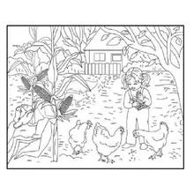Coloriage Fillette nourrissant des poules dans une ferme