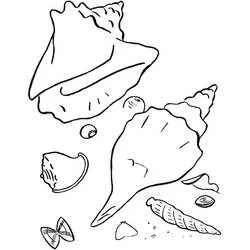 Coloriage Coquillages sur la plage