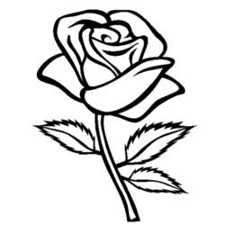 Coloriage Roses (Nature et saisons) #161866, dessin gratuit prêt à imprimer