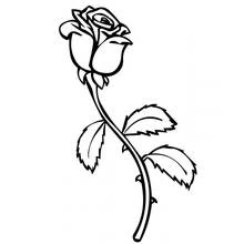 Coloriage Rose à longue tige avec feuilles