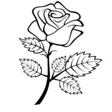 Coloriage Rose et feuilles pointues