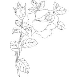 Coloriage Rose épanouie avec un bourgeon et des feuilles