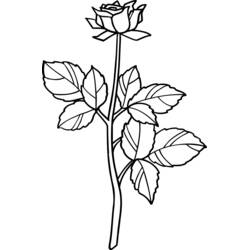 Coloriage Rose avec longue tige et feuilles