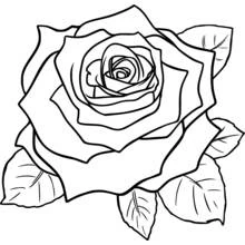Coloriage gratuit Roses (Nature et saisons) #162072 à colorier aux crayons