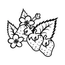 Coloriage Fraises avec feuilles et fleurs