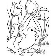 Dessin à colorier Saison Printemps (Nature et saisons) #164796, gratuit à imprimer