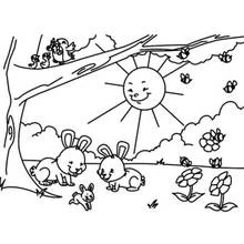 Coloriage gratuit Saison Printemps (Nature et saisons) #164949 à colorier aux crayons