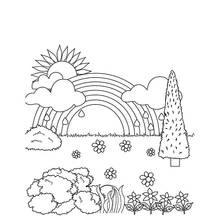 Coloriage Soleil et arc-en-ciel au-dessus d'un jardin