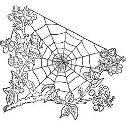 Coloriage Toile d'araignée entre des branches fleuries