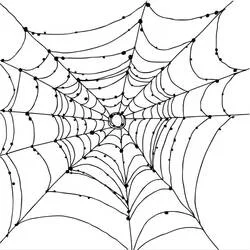 Coloriage Toile d'araignée avec des gouttes de rosée