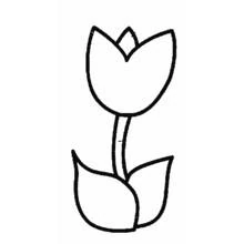 Coloriage Tulipe avec une fleur et deux feuilles