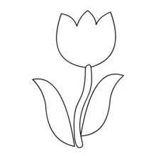 Coloriage Tulipe simple avec deux feuilles