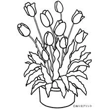 Coloriage Bouquet de tulipes dans un pot rond