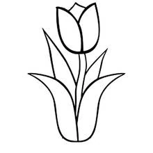 Tulipe - Coloriages gratuits à imprimer